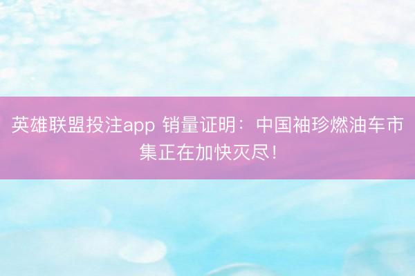英雄联盟投注app 销量证明：中国袖珍燃油车市集正在加快灭尽！