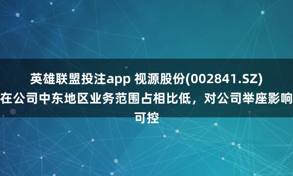英雄联盟投注app 视源股份(002841.SZ)：现在公司中东地区业务范围占相比低，对公司举座影响可控