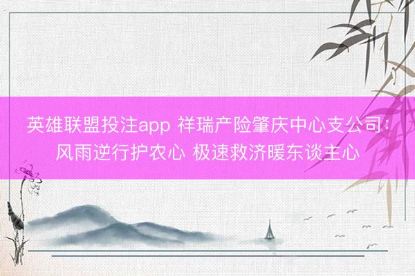 英雄联盟投注app 祥瑞产险肇庆中心支公司：风雨逆行护农心 极速救济暖东谈主心