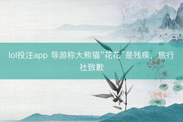 lol投注app 导游称大熊猫“花花”是残疾，旅行社致歉