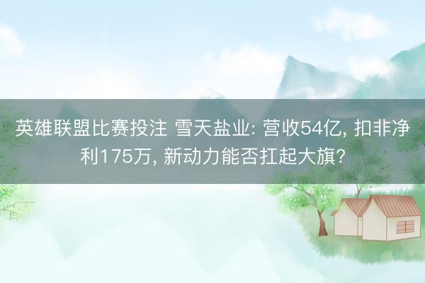 英雄联盟比赛投注 雪天盐业: 营收54亿， 扣非净利175万， 新动力能否扛起大旗?