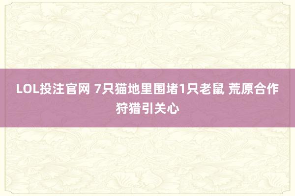 LOL投注官网 7只猫地里围堵1只老鼠 荒原合作狩猎引关心