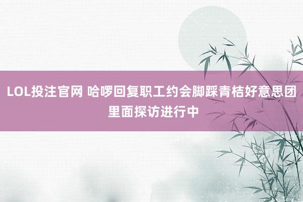 LOL投注官网 哈啰回复职工约会脚踩青桔好意思团 里面探访进行中