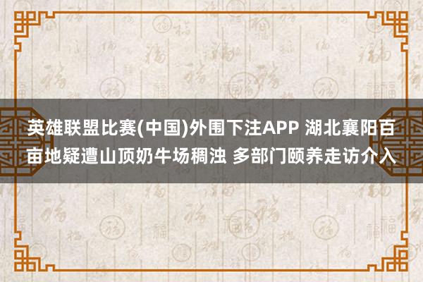 英雄联盟比赛(中国)外围下注APP 湖北襄阳百亩地疑遭山顶奶牛场稠浊 多部门颐养走访介入