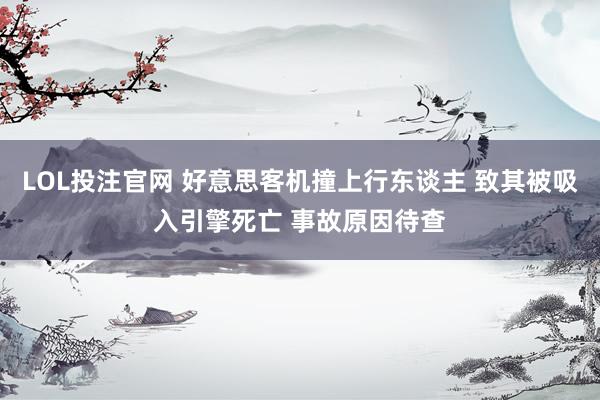 LOL投注官网 好意思客机撞上行东谈主 致其被吸入引擎死亡 事故原因待查
