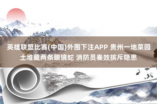 英雄联盟比赛(中国)外围下注APP 贵州一地菜园土堆藏两条眼镜蛇 消防员奏效摈斥隐患