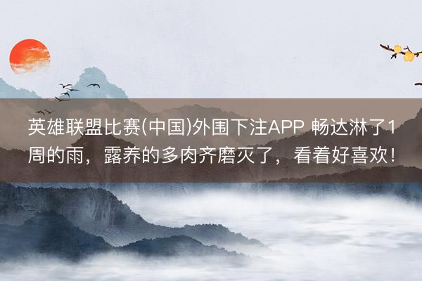 英雄联盟比赛(中国)外围下注APP 畅达淋了1周的雨，露养的多肉齐磨灭了，看着好喜欢！