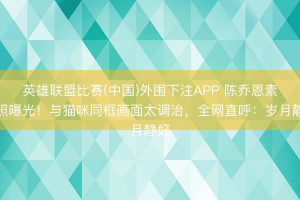 英雄联盟比赛(中国)外围下注APP 陈乔恩素颜照曝光！与猫咪同框画面太调治，全网直呼：岁月静好