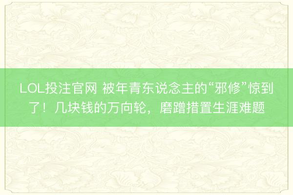 LOL投注官网 被年青东说念主的“邪修”惊到了！几块钱的万向轮，磨蹭措置生涯难题