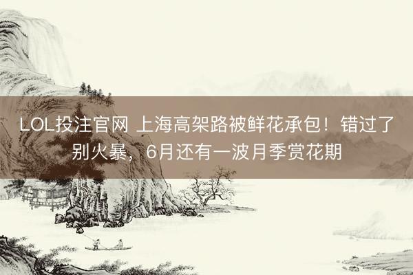 LOL投注官网 上海高架路被鲜花承包！错过了别火暴，6月还有一波月季赏花期