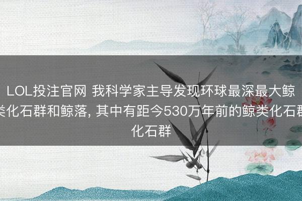 LOL投注官网 我科学家主导发现环球最深最大鲸类化石群和鲸落, 其中有距今530万年前的鲸类化石群