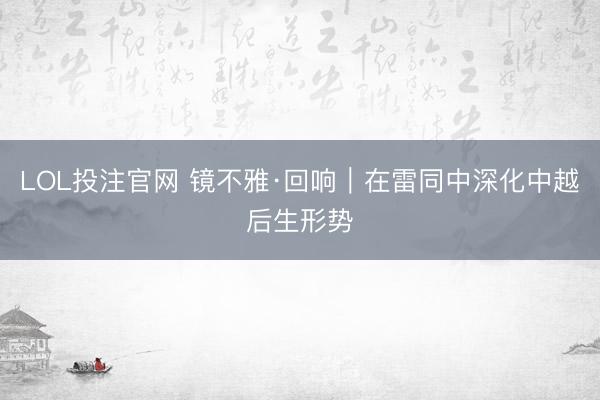 LOL投注官网 镜不雅·回响｜在雷同中深化中越后生形势